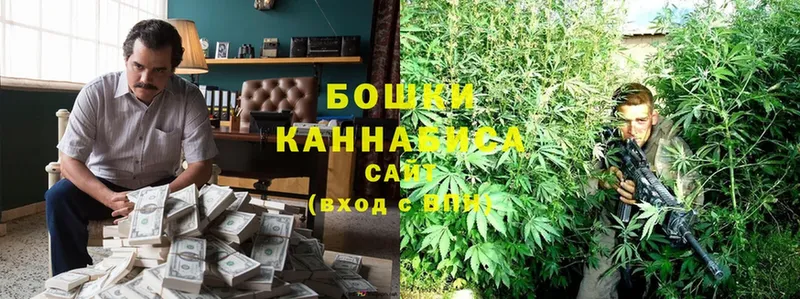 Конопля Ganja  Донской 